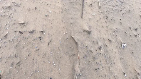 Nurdles (Plastic pellets) spilled on beach; walking with camera; toes in shot Stock Footage 157287586