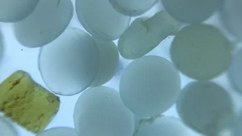 Nurdles (plastic pellets) static on water surface, then flow Stock Footage 157694981