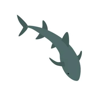 Nurse Shark vector illustration Stock Illustration