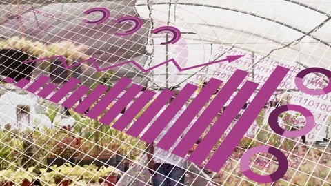 Nursery worker walking aisle while data driving purple charts over plants and Stockbeeldmateriaal 332566659