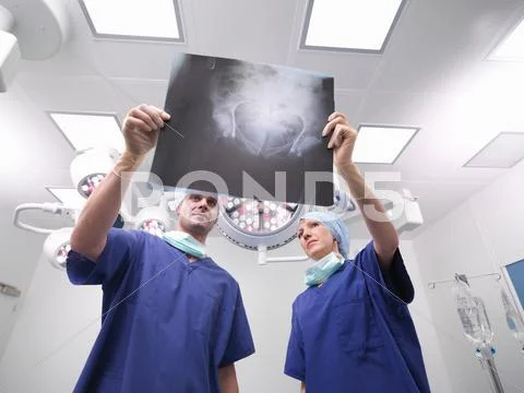 Nurses Looking At X-Ray