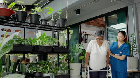 Nurses in nursing homes being care for the elderly woman help to walk by walker Stock Footage 162957386