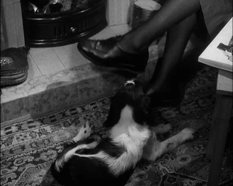 Nurses relaxing in chairs and talking together near fire with their dog, 1952 Video stock 133377681