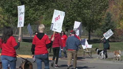 Nurses strike Allina hospitals for better pay and benefits Video stock 163687953