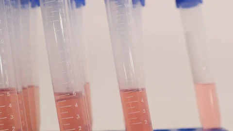 Nurses Testing Swab Results for Coronavirus COVID-19 2020 Stock Footage 127794401