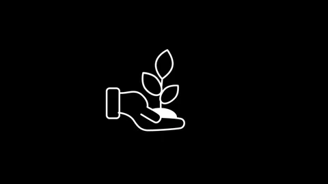 Nurtured Growth Stock Footage 336063376