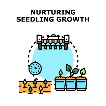 Nurturing seedling growth process and agricultural development Stock Illustration
