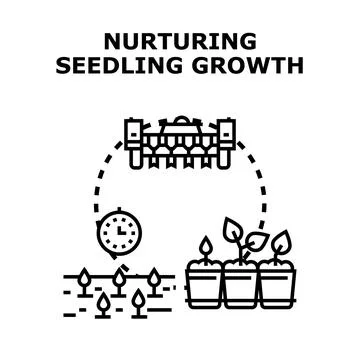 Nurturing seedling growth process and agricultural development Stock Illustration