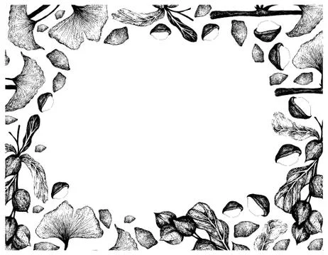 Nut and Bean, Hand Drawn Illustration Sketch Frame of Shelled and Unshelled M Stock Illustration