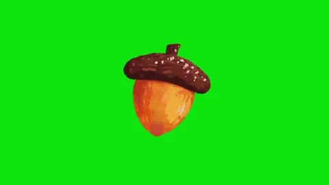 Nut animation on green background 動画素材 330216256