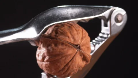 Nut being Cracked in Slow Motion, by a Nut Cracker. Stock Footage 116257322