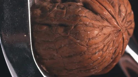 Nut being Cracked in Slow Motion, by a Nut Cracker. Stock Footage 116257681