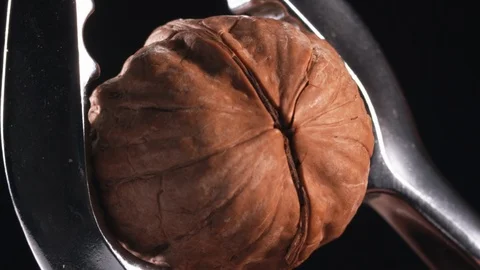 Nut being Cracked in Slow Motion, by a Nut Cracker. Stock Footage 116257829