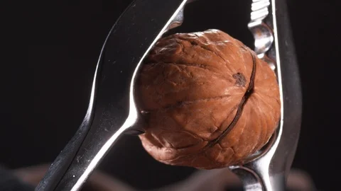 Nut being Cracked in Slow Motion, by a Nut Cracker. Stock Footage 116258651
