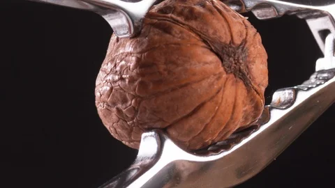 Nut being Cracked in Slow Motion, by a Nut Cracker. Stock Footage 116259832