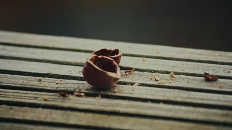 NUT CLOSE-UP ON APARMENT BALCONY SUMMERTIME 4K 50FPS Stock Footage 262989471