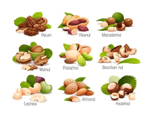 Nut compositions, good for label and sticker Stock Illustration