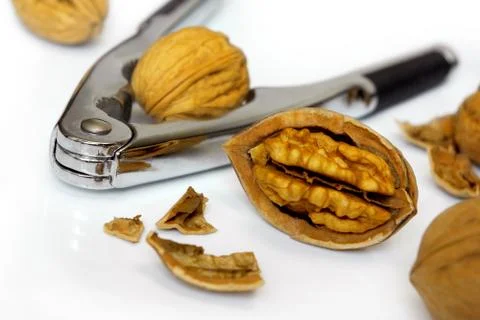 Nut cracker Stock Photos