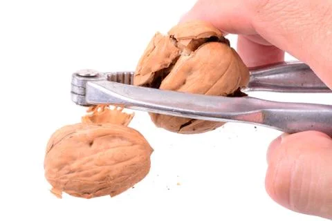 Nut Cracker Stock Photos
