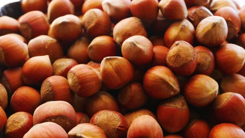 Nut diet. Hazelnut. Useful fatty acids. Fight against aging. The correct course  Stock Footage 224090584