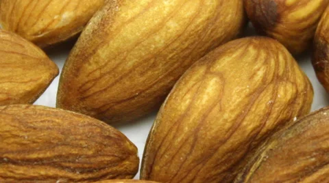 Nut. Dolly Shot. Stock Footage 55708577