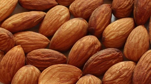 Nut. Dolly Shot. Stock Footage 55708663