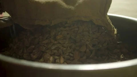 Nut factory Stock Footage 211722858