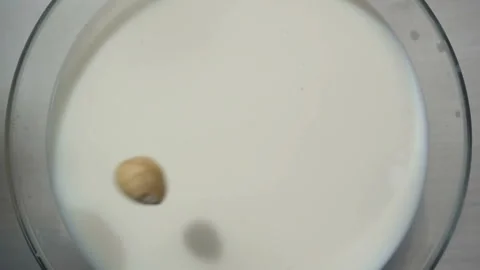 Nut falls in slow motion into a full glass of milk.  View from above Stock Footage 131041672
