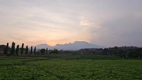 Nut Field 1 Video stock 288014871