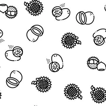 Nut Food Different Seamless Pattern Vector Stock Illustration