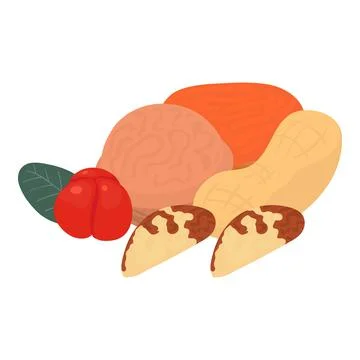 Nut food icon isometric vector. Cashew brazil kola nut walnut barbados cherry Stock Illustration