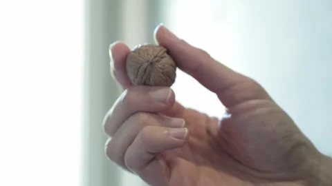 Nut Video stock 274303523