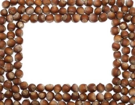 Nut frame hazelnut frame over white background ,model released, Symbolfoto... Stock Photos