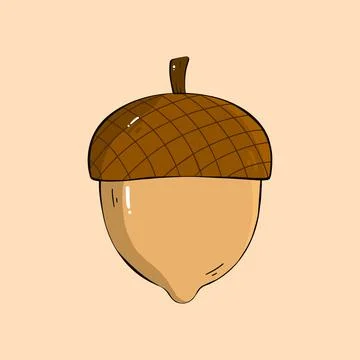 Nut hand drawn vector illustration Stock Illustration
