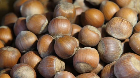 Nut. Hazelnut. close up Stock Footage 96001052