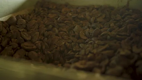 Nut hopper Stock Footage 211745159