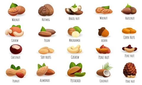 Nut icon set, cartoon style Stock Illustration