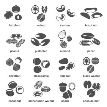 Nut Icons Black Stock Illustration