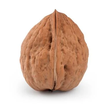 Nut isolated. Clipping path Stock Photos