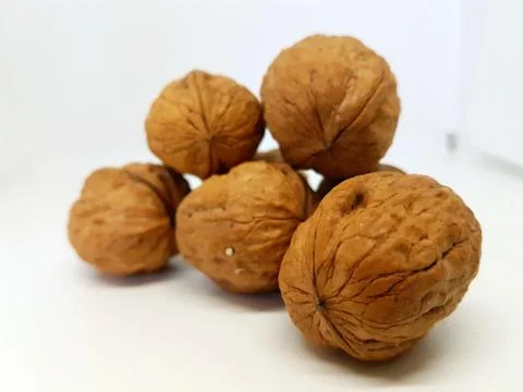 Nut, Nuss Foto stock