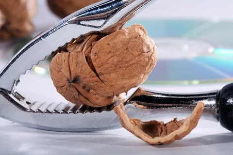 Nut with nutcracker close Stock Photos