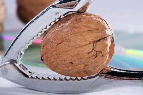 Nut with nutcracker close Stock Photos