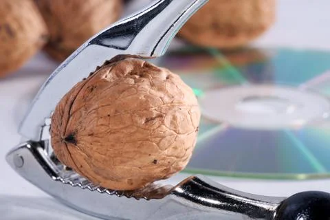 Nut with nutcracker close Stock Photos