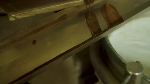 Nut oil Stock Footage 211663597