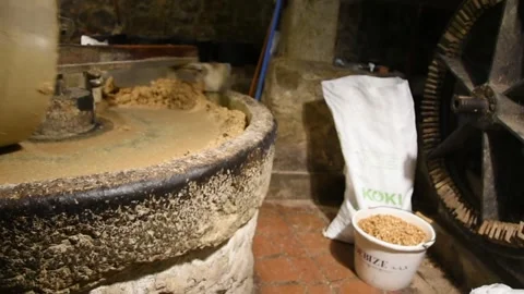 Nut oil mill production process Stock Footage 246631677