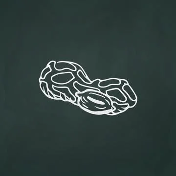 Nut peanut thin white lines on a textural dark background - Vector Stock Illustration