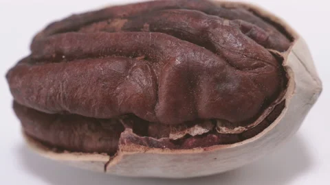 Nut. Pecan nut on a white background. Close-up. Stock Footage 152728113