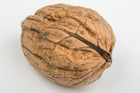 Nut Stock Photos