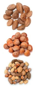 Nut Stock Photos
