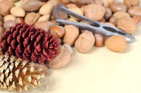 Nut Stock Photos